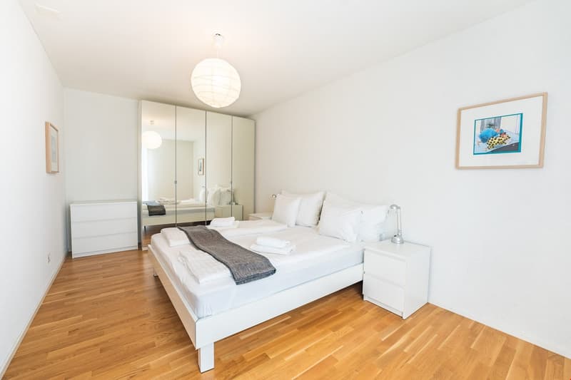 Light modern apartment with own washer/dryer and parking (10)
