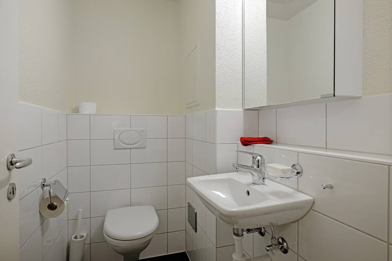 Lovely three room apartment in popular Gundeli (6)