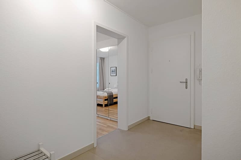 Lovely three room apartment in popular Gundeli (10)