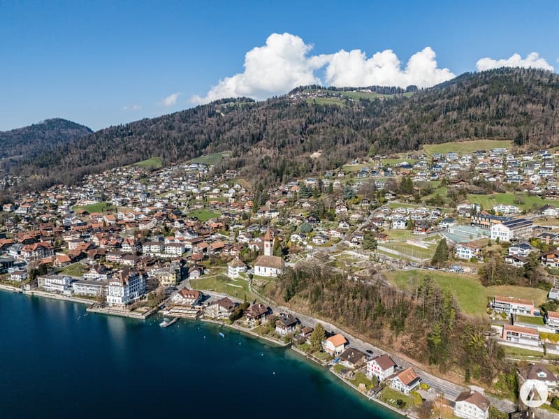 Chalet mit Potenzial für neue Wohnideen (11)