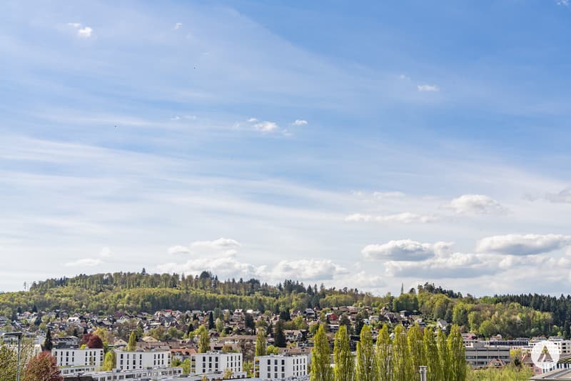 Attraktives Bauland in Stadtnähe (8)