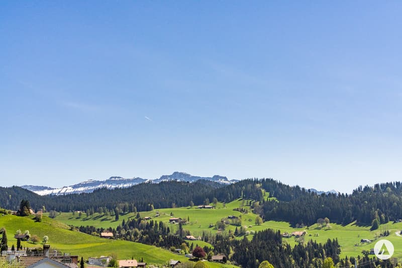 Zwischen Stadt und Land am Sonnenhang (2)