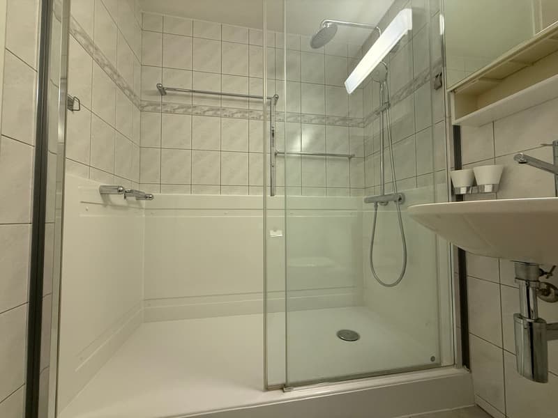 Helle und grosszügige 4.5-Zimmer-Galeriewohnung mit Balkon und Wintergarten (7)