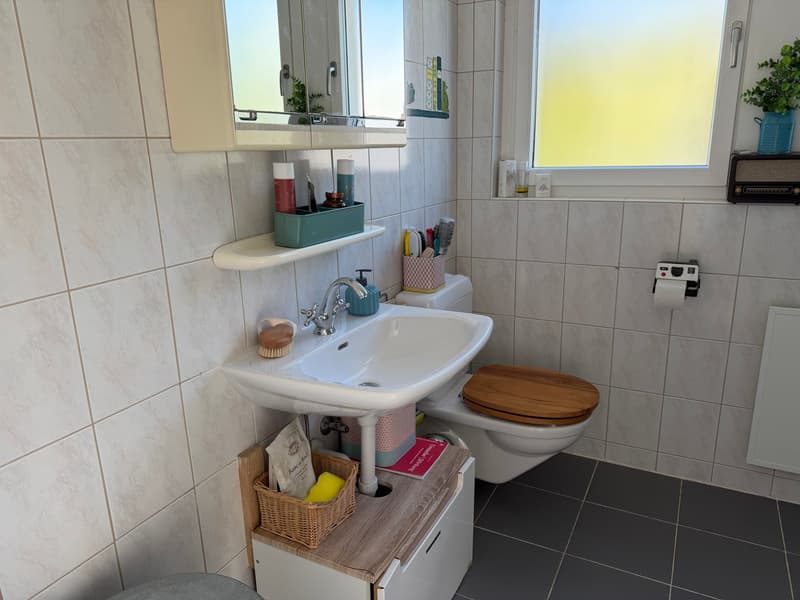 Grosses und freistehendes 6 Zimmer Einfamilienhaus in Orpund zu verkaufen (5)