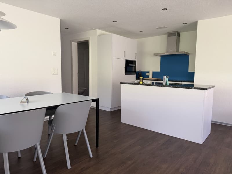 Moderne Küche mit Essbereich