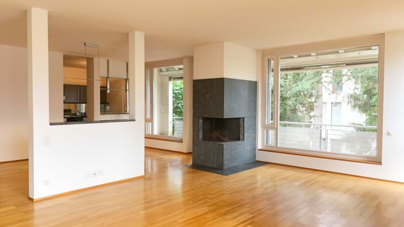 Renovierte Wohnung mit Cheminée, 2 Terrassen und Ziergarten - Bruderholz (3)