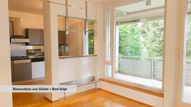 Renovierte Wohnung mit Cheminée, 2 Terrassen und Ziergarten - Bruderholz (5)
