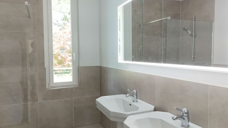 Renovierte Wohnung mit Cheminée, 2 Terrassen und Ziergarten - Bruderholz (8)
