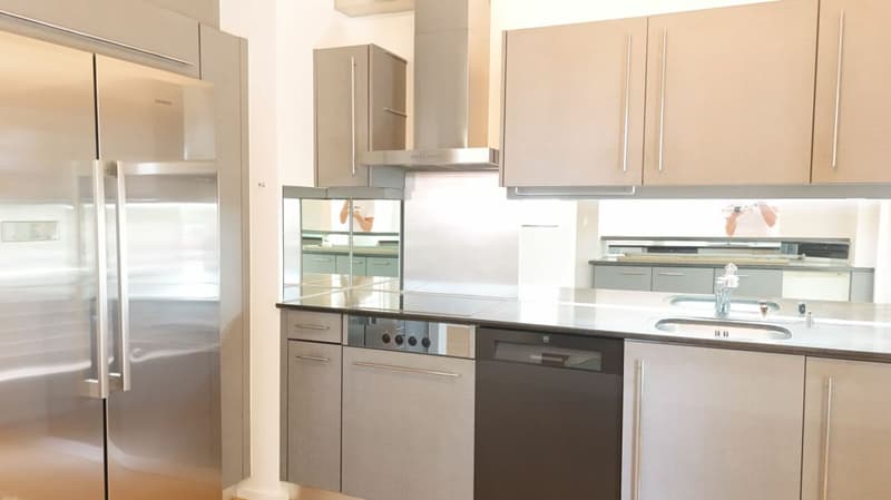 Renovierte Wohnung mit Cheminée, 2 Terrassen und Ziergarten - Bruderholz (7)