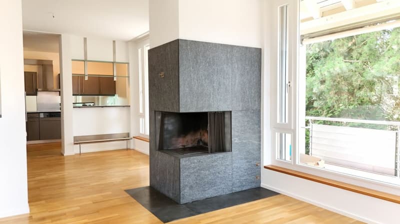 Renovierte Wohnung mit Cheminée, 2 Terrassen und Ziergarten - Bruderholz (6)