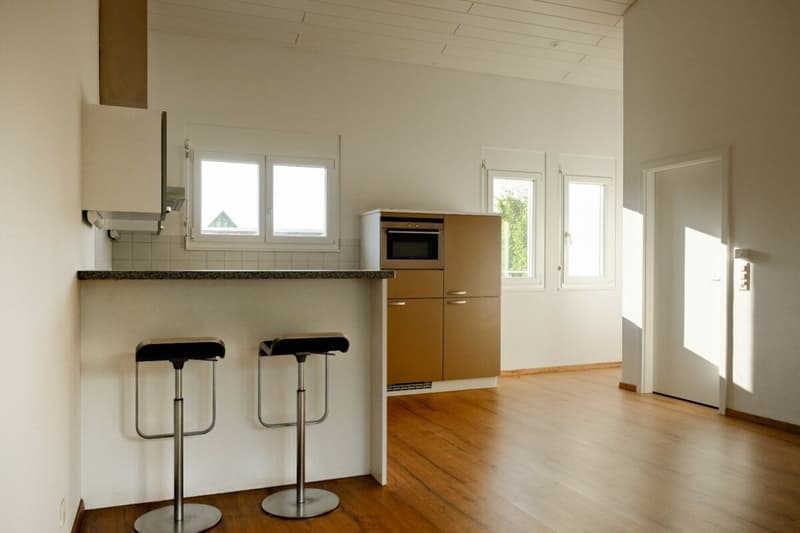 Charmante 2.5-Zimmer-Wohnung mit Aussicht ins Grüne in Aesch BL (3)