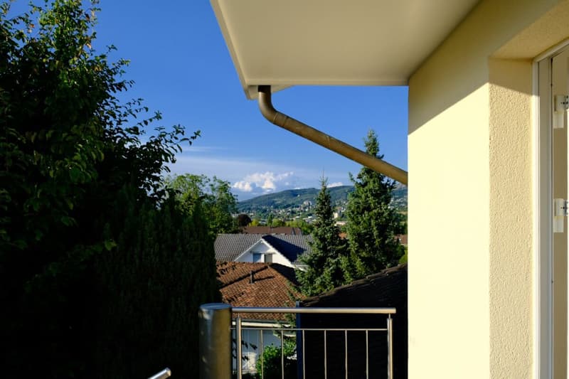 Charmante 2.5-Zimmer-Wohnung mit Aussicht ins Grüne in Aesch BL (11)