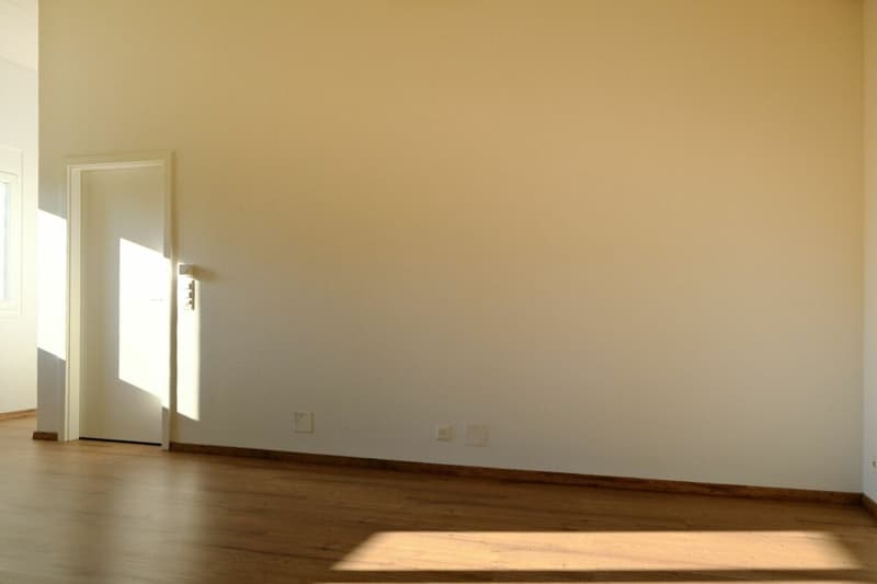 Charmante 2.5-Zimmer-Wohnung mit Aussicht ins Grüne in Aesch BL (4)