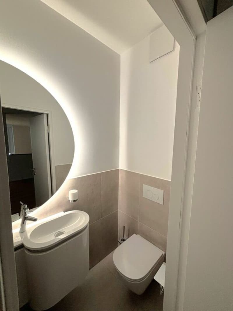 Exklusive Gartenwohnung mit Cheminée & 2 Terrassen  - Bruderholz (10)