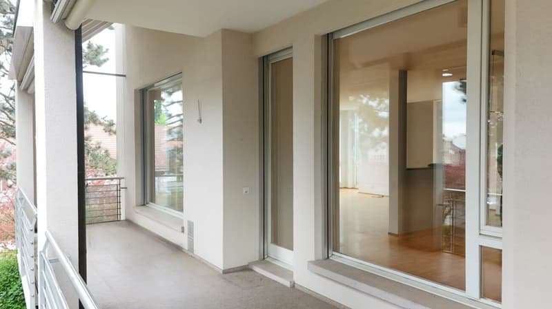 Lichtdurchflutete Wohnung mit Cheminée, Balkon, Terrasse & Ziergarten - Bruderholz (11)