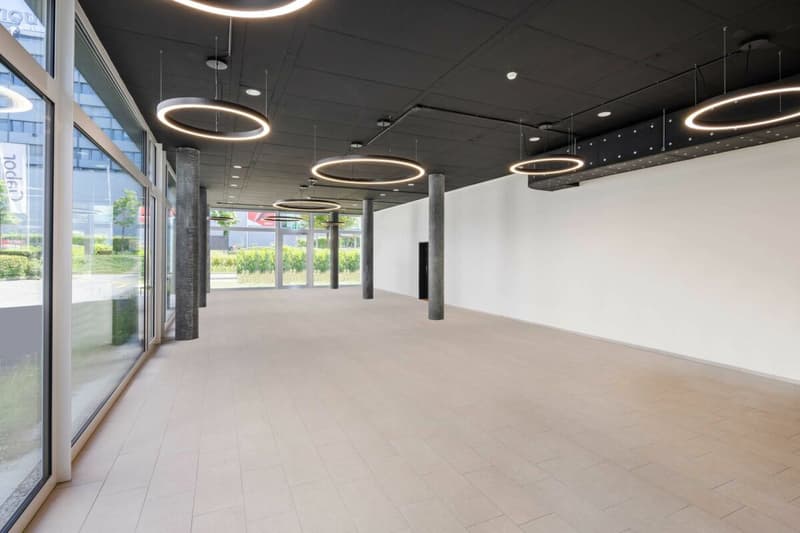 Hochwertige Büro-/Praxisfläche mit Top Anbindung - Spreitenbach (2)