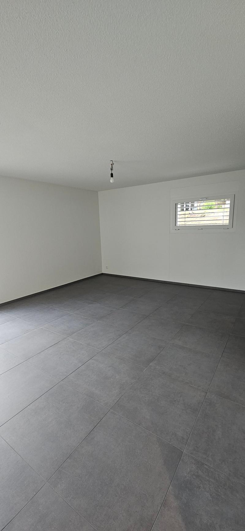 Appartement moderne de 4,5 pièces au rez-de-chaussée dans un quartier calme à Lommiswil - Première location (12)