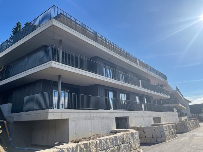 Neue und exklusive 4.5-Zimmer-Duplex-Attikawohnung - Wohnen wie im Einfamilienhaus (2)