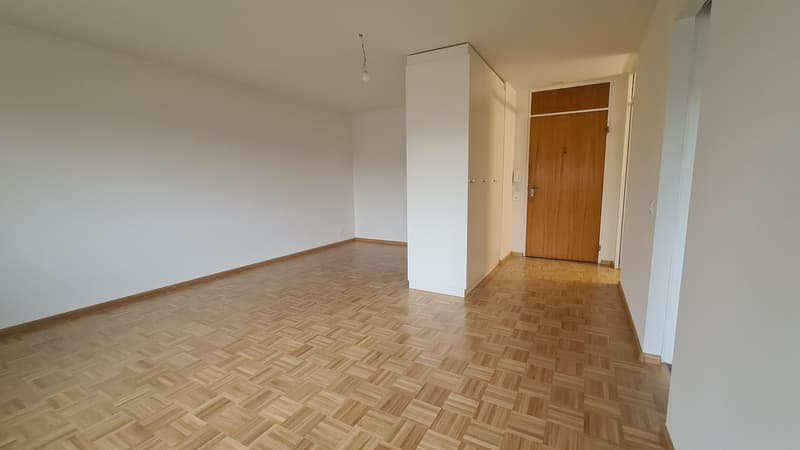 Gemütliche 2-Zimmerwohnung in Münchenstein (5)