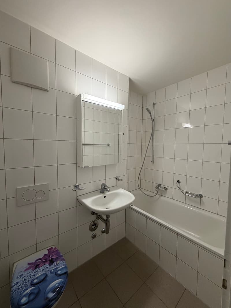 Charmante 3-Zimmer-Wohnung in Basel-Kleinhueningen (3)