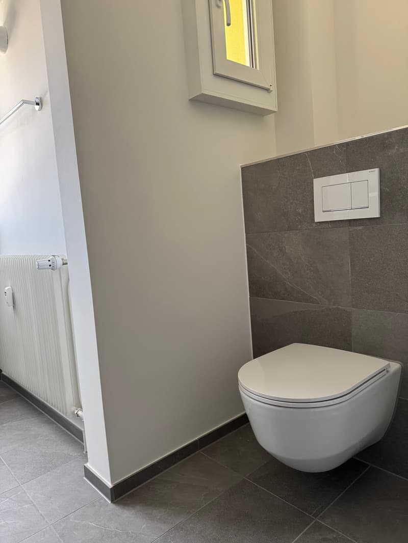 Charmante 5-Zimmer-Maisonette-Wohnung an ruhiger Quartierstrasse in Basel (5)