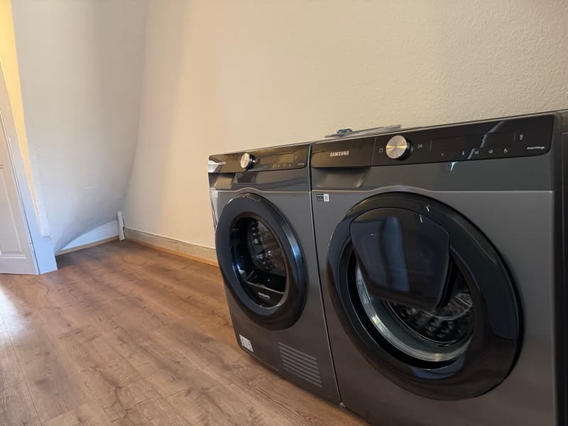 Charmante 5-Zimmer-Maisonette-Wohnung an ruhiger Quartierstrasse in Basel (15)