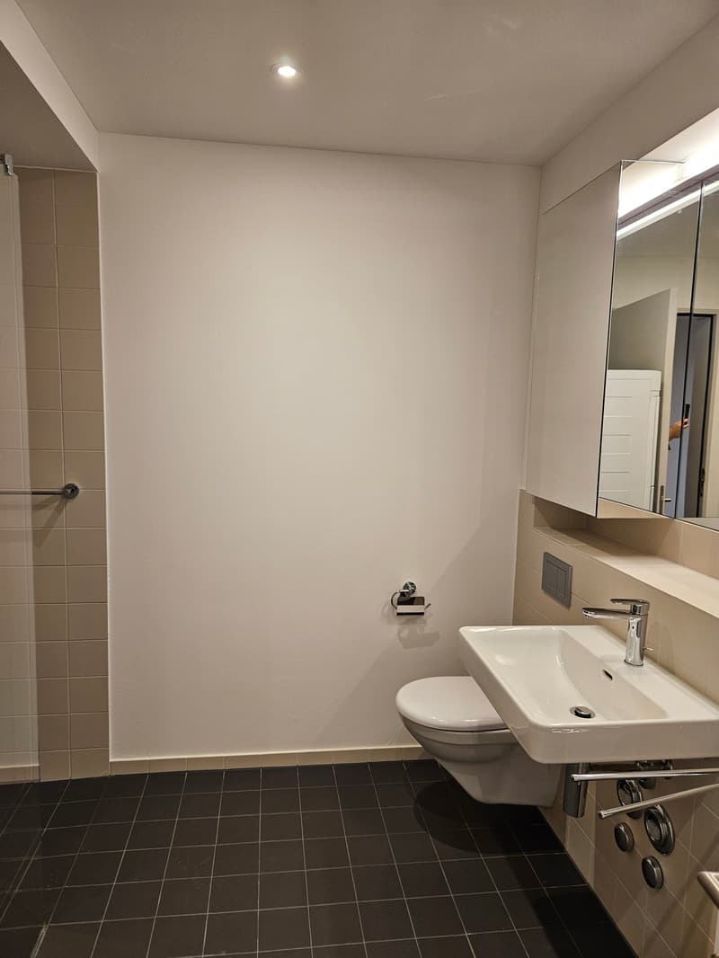 Helle, grosszügige Maisonette-Wohnung an der Ergolz in Sissach (8)