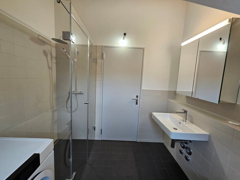 Erstvermietung - moderne 2.5-Zimmer Dachwohnung mit Laubenbalkon in Sissach (8)