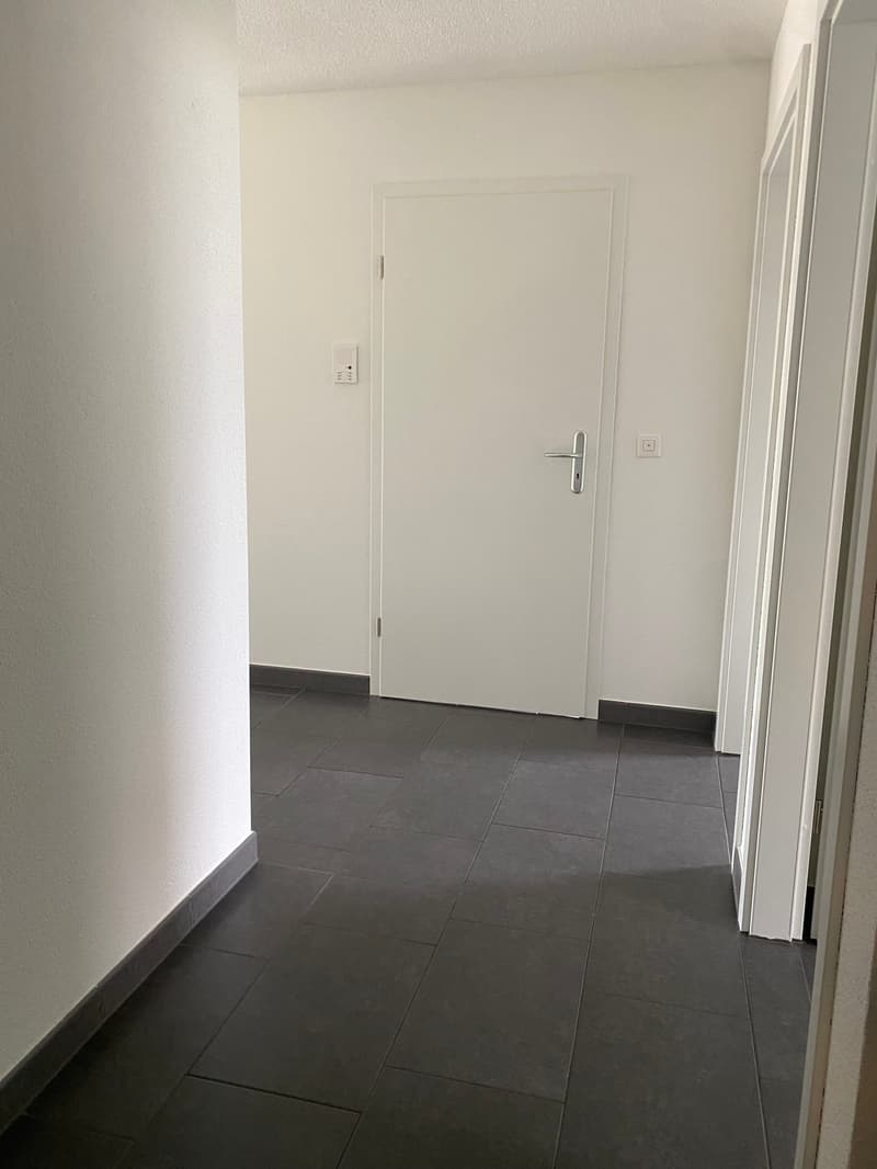 Schöne 3,5-Zimmerwohnung mit grossem, gedeckten Balkon (4)