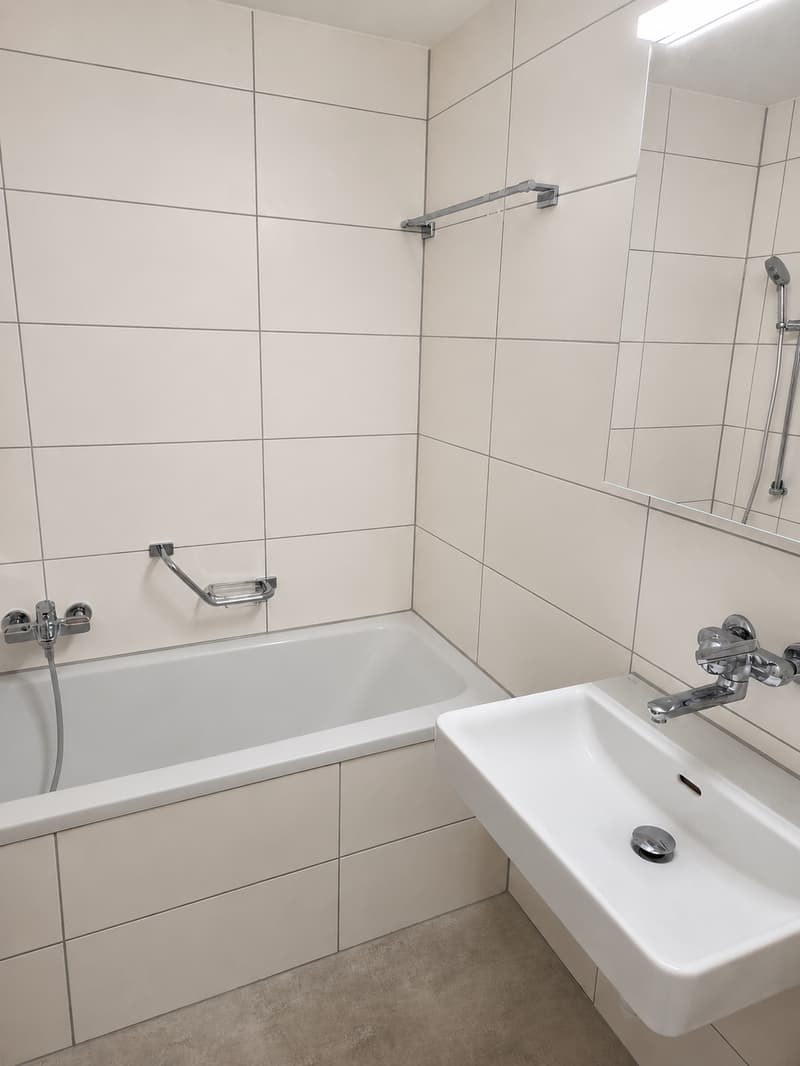Charmante 3-Zimmer-Wohnung mit Balkon in Basel (3)