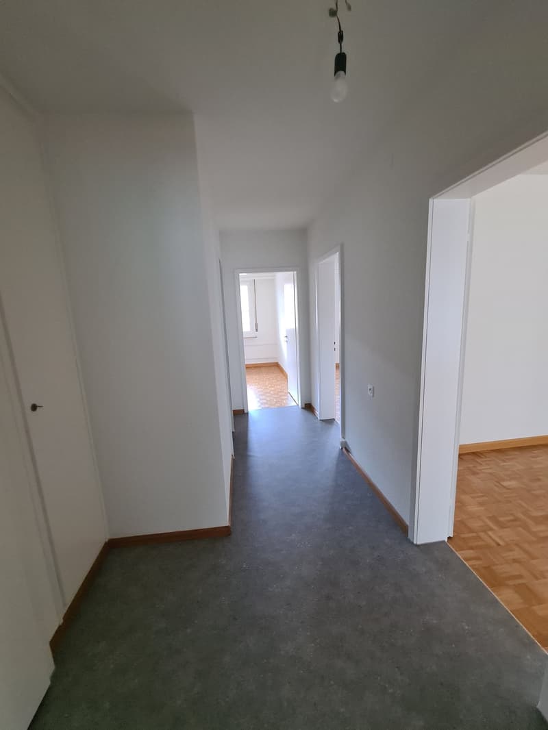 Charmante 3-Zimmer-Wohnung mit Balkon in Basel (5)