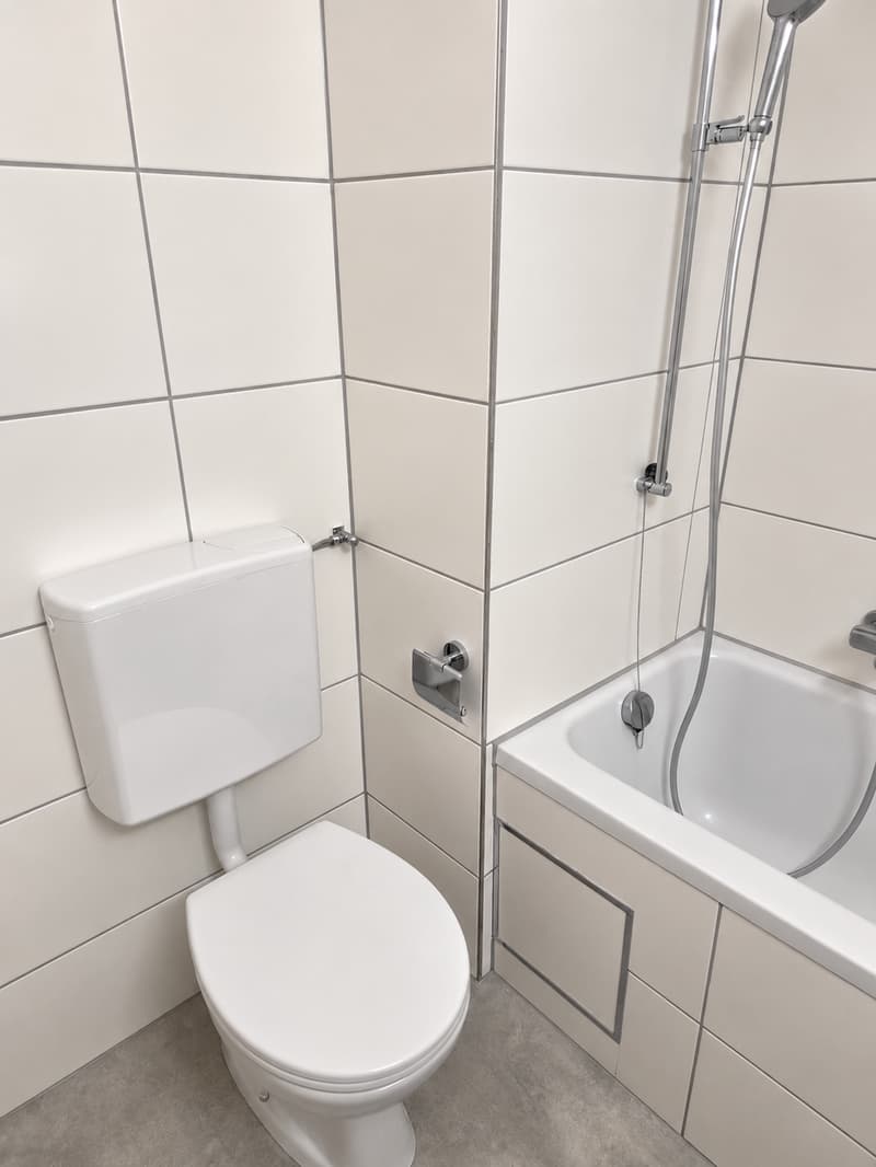 Charmante 3-Zimmer-Wohnung mit Balkon in Basel (4)