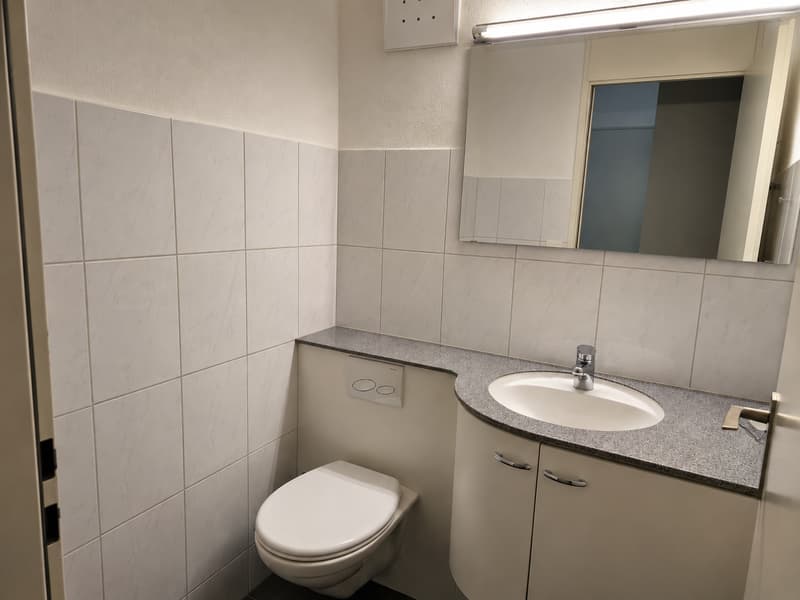 Helle 4.5-Zimmer-Wohnung mit Balkon in Riehen (8)