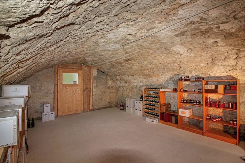 Mehrfamilienhaus mit Liebe zum Altbau-Charme (12)