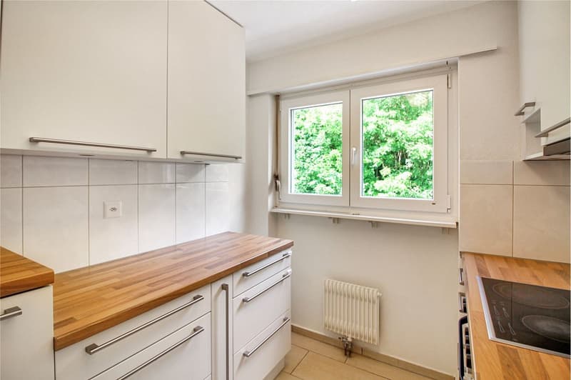 4½ Zimmer Eigentumswohnung mit Balkon an idyllischer Waldrandlage (3)