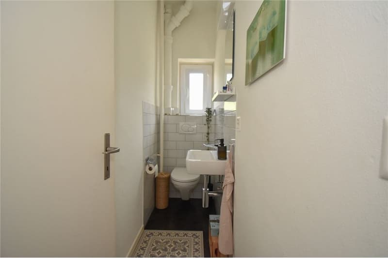 Steingrube Solothurn - Mehrfamilienhaus mit Charme;  3 Wohnungen und 5 Garagen (4)