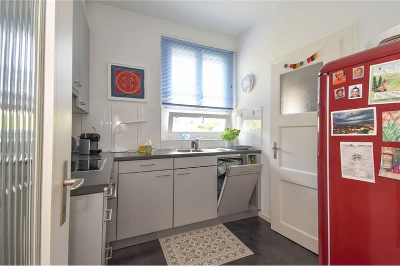 Steingrube Solothurn - Mehrfamilienhaus mit Charme;  3 Wohnungen und 5 Garagen (3)