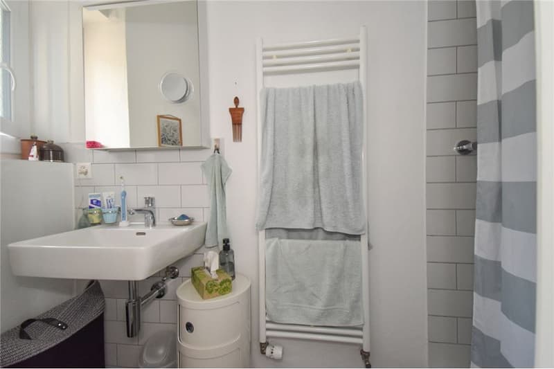 Steingrube Solothurn - Mehrfamilienhaus mit Charme;  3 Wohnungen und 5 Garagen (5)