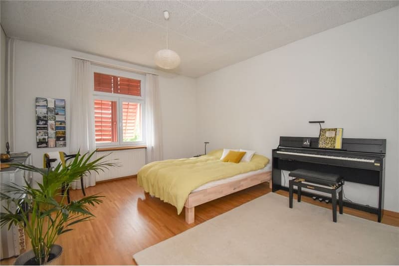 Steingrube Solothurn - Mehrfamilienhaus mit Charme;  3 Wohnungen und 5 Garagen (8)