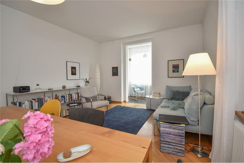 Steingrube Solothurn - Mehrfamilienhaus mit Charme;  3 Wohnungen und 5 Garagen (7)