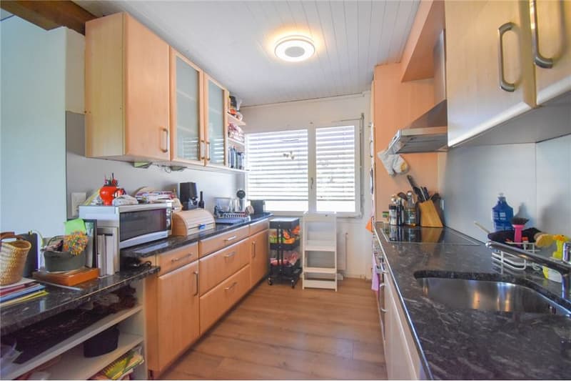 4½ Zimmer Einfamilienhaus an einzigartiger, idyllischer Uferlage (6)