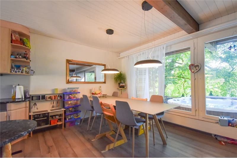 4½ Zimmer Einfamilienhaus an einzigartiger, idyllischer Uferlage (8)