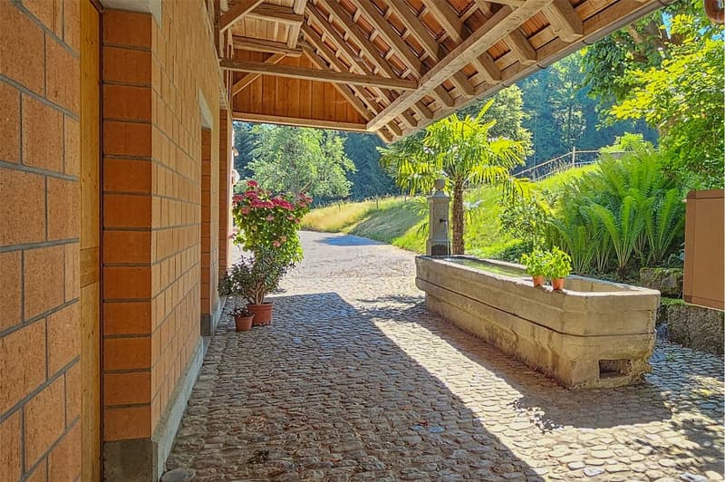 2001 massiv erbautes, prächtiges Bauernhaus und erhaltener Speicher. (6)