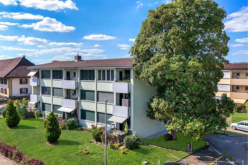 Gepflegtes Mehrfamilienhaus mit drei 2½ und sechs 3½ Zimmer Wohnungen (5)