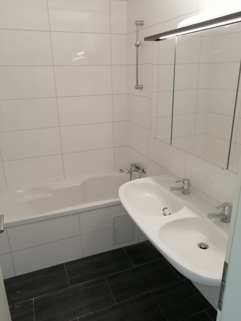 Moderne 3.5-Zimmer-Dachwohnung mit Balkon in Basel (7)