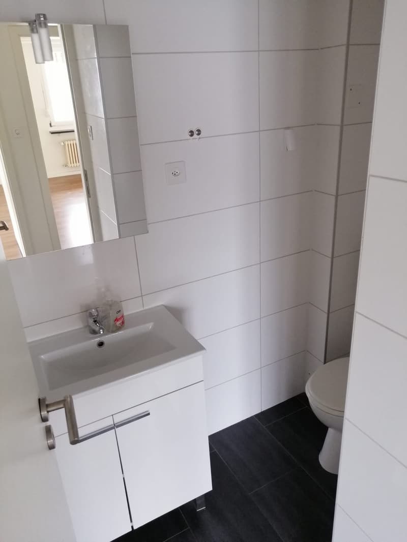 Moderne 3.5-Zimmer-Dachwohnung mit Balkon in Basel (8)