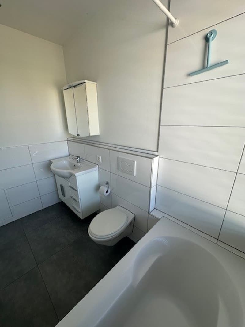 Moderne 1-Zimmer-Dachwohnung mit Balkon und Aussicht in Basel (8)