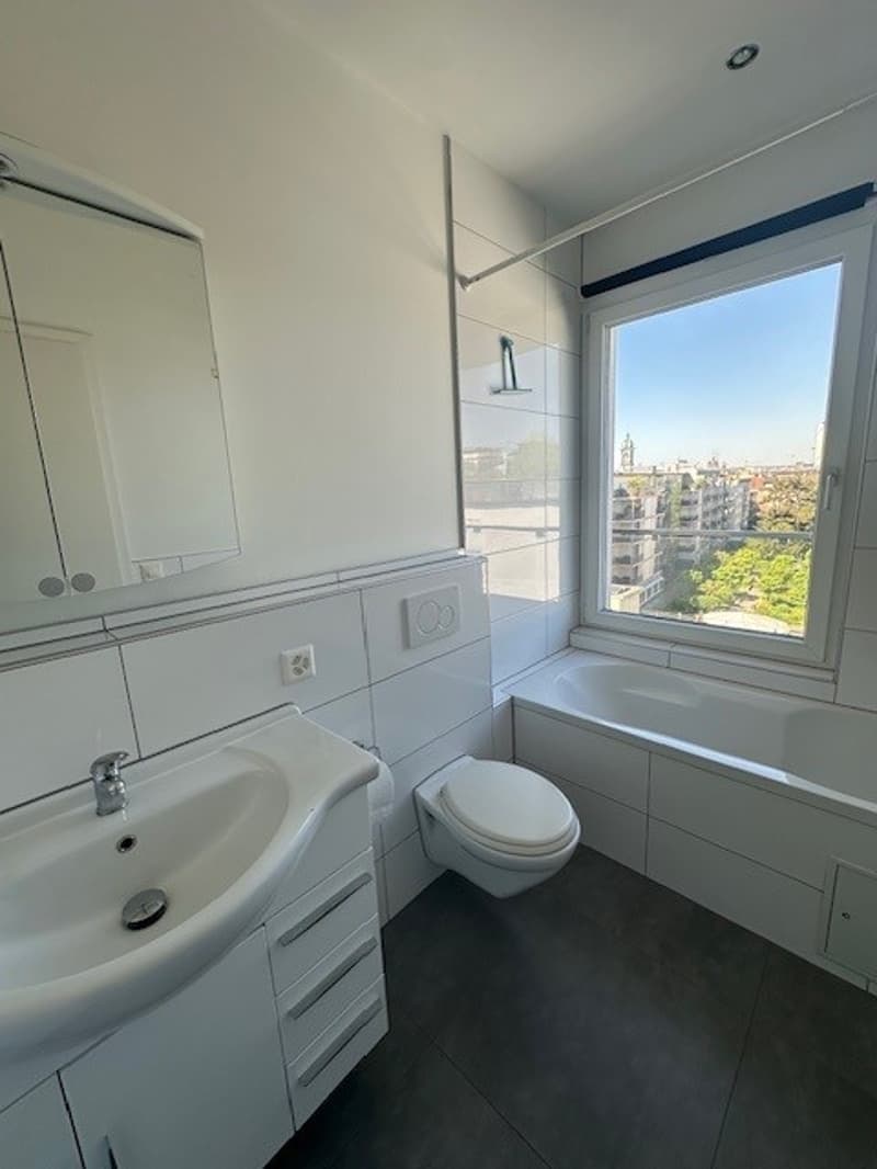 Moderne 1-Zimmer-Dachwohnung mit Balkon und Aussicht in Basel (6)