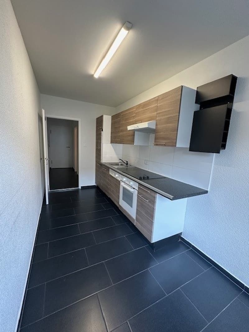 Helle 2.5-Zimmer-Wohnung an der Dornacherstrasse in Basel (2)