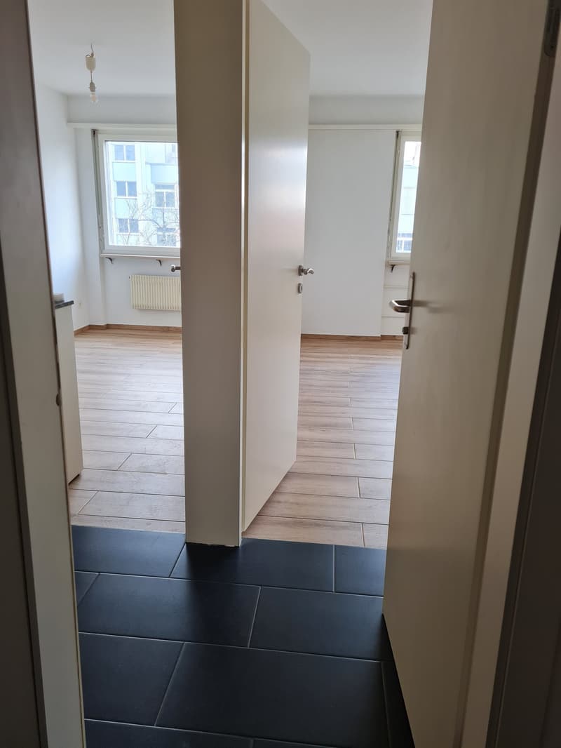 Moderne 2-Zimmer-Wohnung in Basel an zentraler Lage (2)